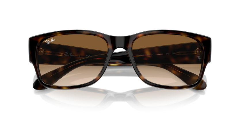 Ray-Ban RB4388  Sunglasses