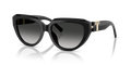 Tiffany TF4238U  Sunglasses