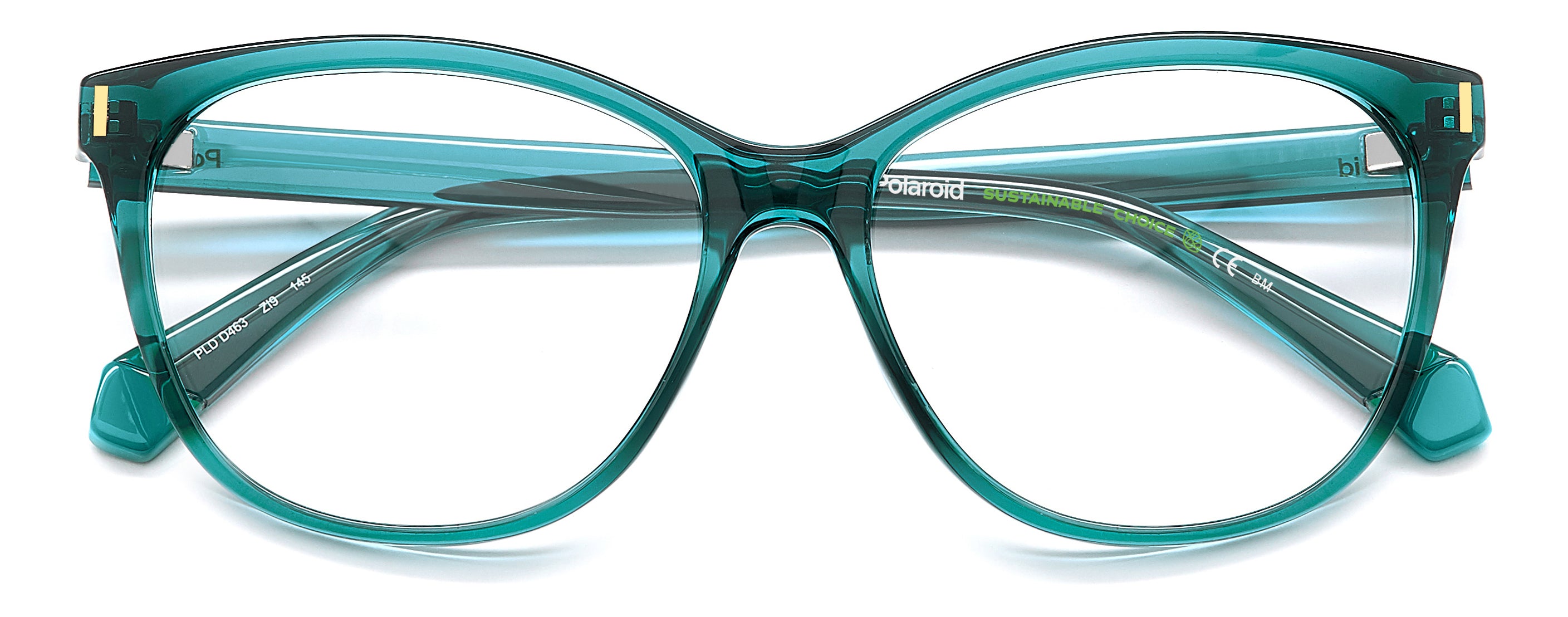 Polaroid Pld D463 Eyeglasses