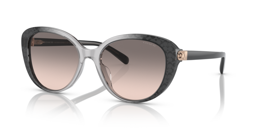 Coach HC8348U Cd479 Sunglasses