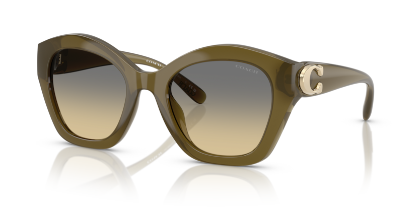 Coach HC8421U Cad31 Sunglasses
