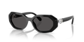 Swarovski SK6028  Sunglasses