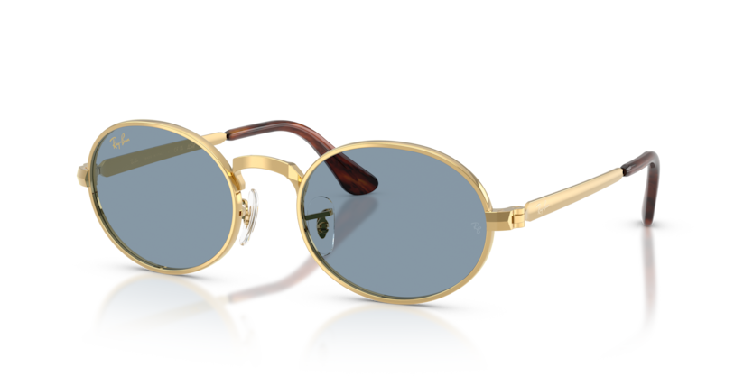 Ray-Ban RB3931  Sunglasses