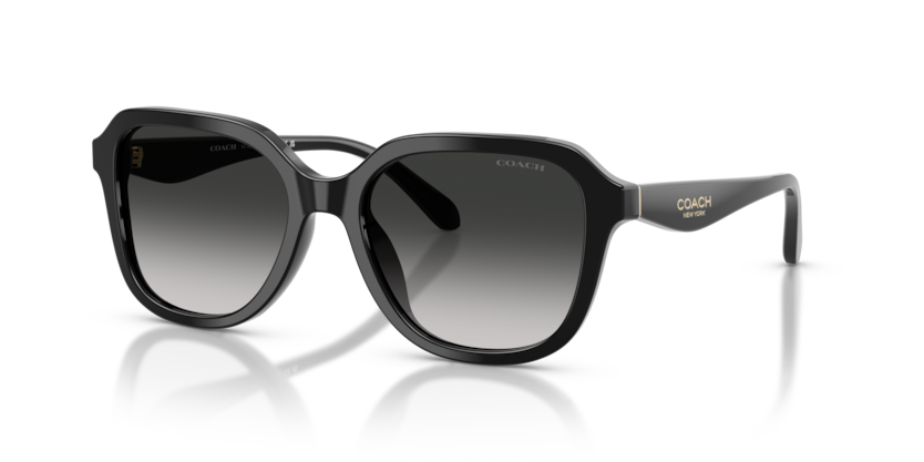 Coach HC8437U Cby87 Sunglasses