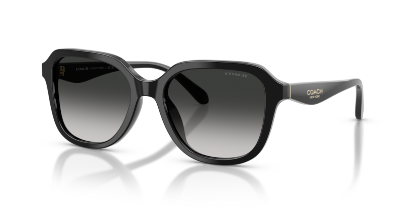 Coach HC8437F Cby89 Sunglasses