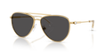Swarovski SK7031  Sunglasses