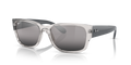 Ray-Ban RB4388  Sunglasses