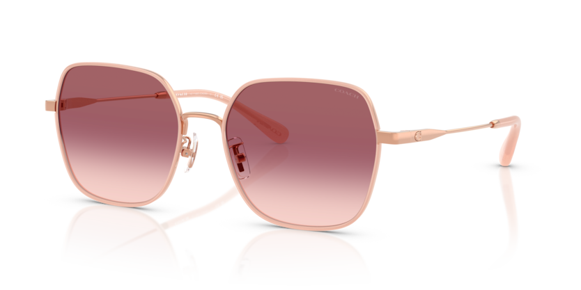 Coach HC7180D Cae93 Sunglasses