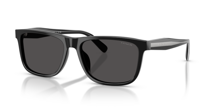 Coach HC8454U Cdp55 Sunglasses