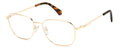 Polaroid PLD D454/G Eyeglasses
