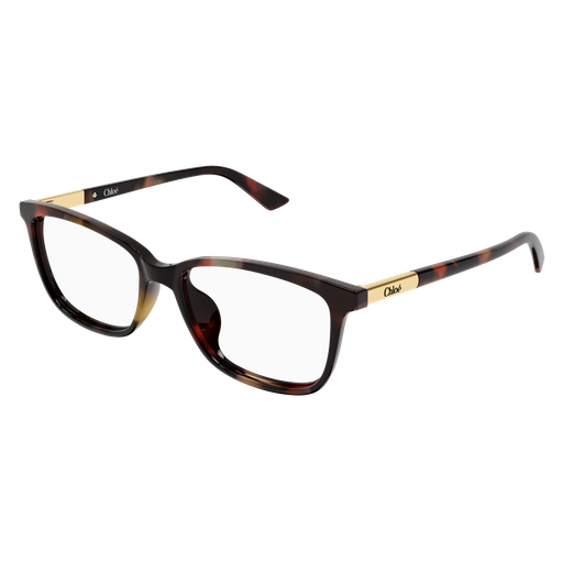 Chloé CH0371OA Eyeglasses