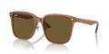 Ray-Ban RB2206D  Sunglasses