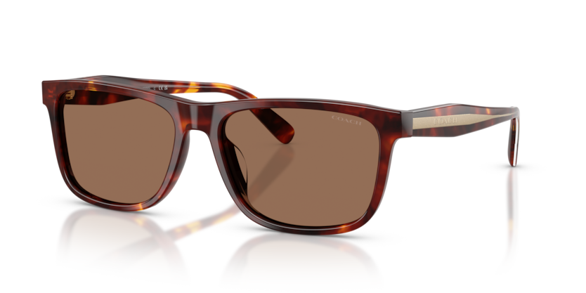 Coach HC8454U Cdp55 Sunglasses