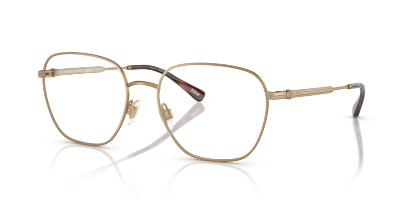 Polo PH1237  Eyeglasses