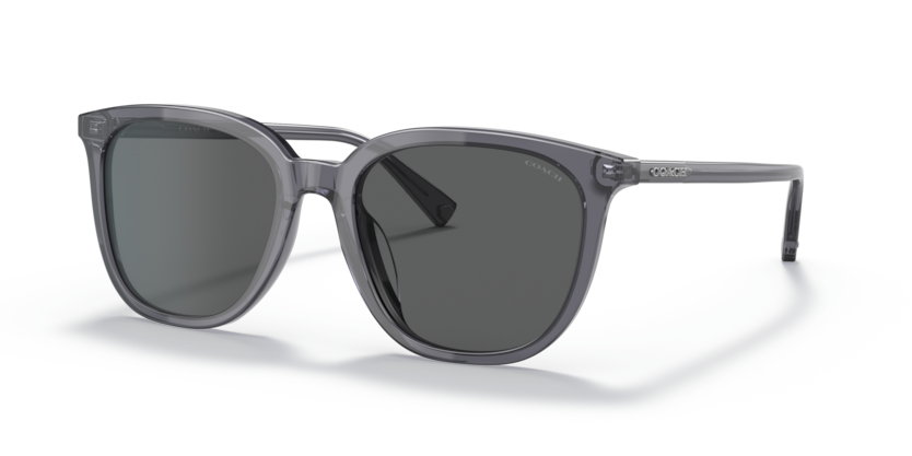 Coach HC8338U C8006 Sunglasses