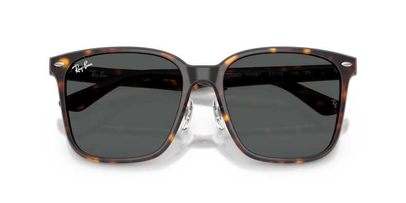 Ray-Ban RB2206D  Sunglasses