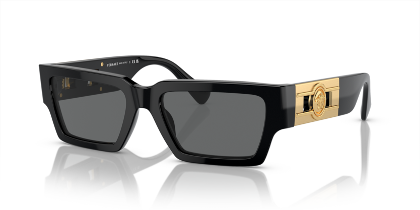 Versace VE4459  Sunglasses
