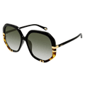Chloé CH0105S Sunglasses