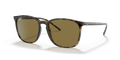 Ray-Ban RB4387  Sunglasses