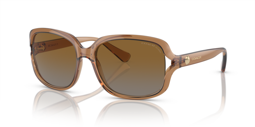 Coach HC8169 L149 Sunglasses
