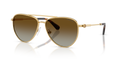 Swarovski SK7031  Sunglasses