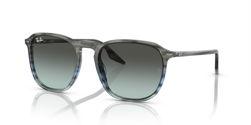 Ray-Ban RB2203F  Sunglasses