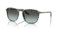 Ray-Ban RB2203F  Sunglasses