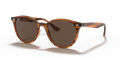 Ray-Ban RB4305  Sunglasses
