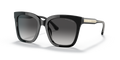 Michael Kors MK2163 San Marino Sunglasses