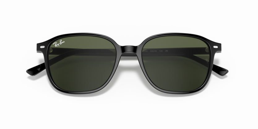 Ray-Ban RB2193 Leonard Sunglasses
