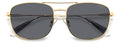 Polaroid PLD 4172/G/S/X Sunglasses