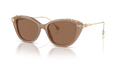 Swarovski SK6010  Sunglasses