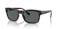 Ray-Ban RB4428  Sunglasses