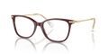 Swarovski SK2010  Eyeglasses