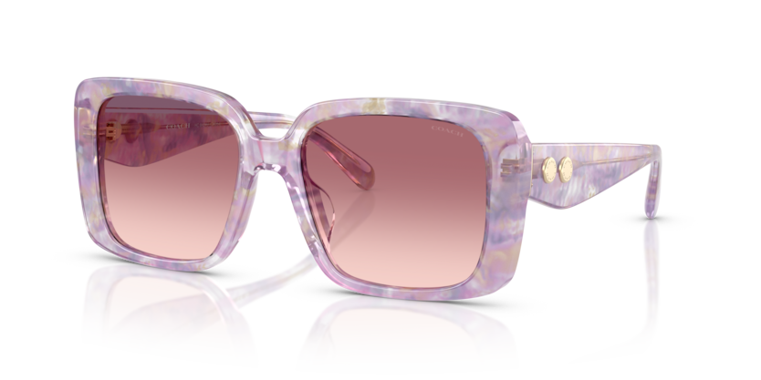 Coach HC8424U Cad54 Sunglasses