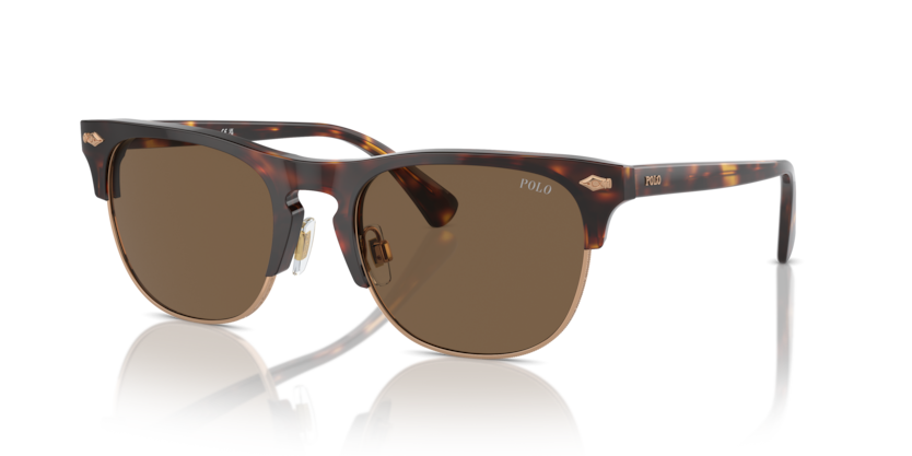 Polo PH4213  Sunglasses