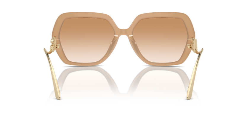 Dolce & Gabbana DG4468BF  Sunglasses