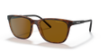 Arnette AN4291 Cortex Sunglasses