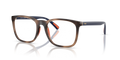 Polo PH2281U  Eyeglasses
