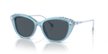 Swarovski SK6010F  Sunglasses
