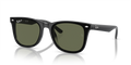 Ray-Ban RB4420  Sunglasses