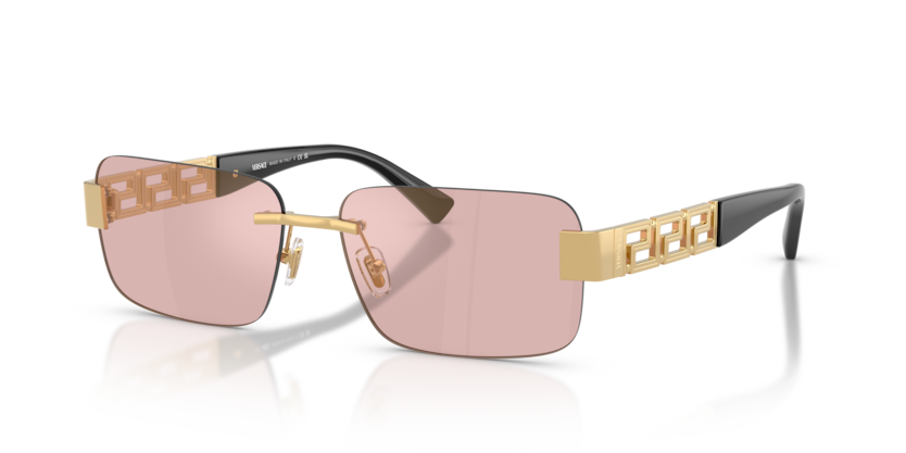 Versace VE2298  Sunglasses