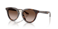 Giorgio Armani AR8252U  Sunglasses