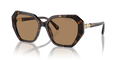 Swarovski SK6017  Sunglasses