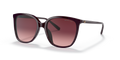 Michael Kors MK2137U Anaheim Sunglasses