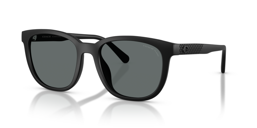 Coach HC8442U Cca00 Sunglasses