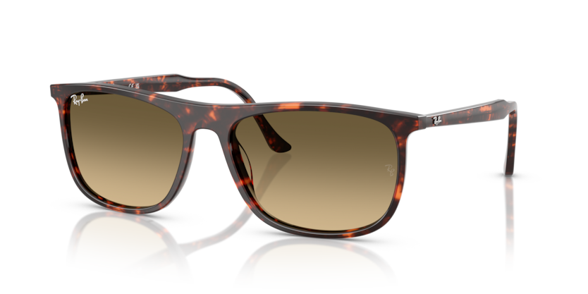 Ray-Ban RB2216  Sunglasses