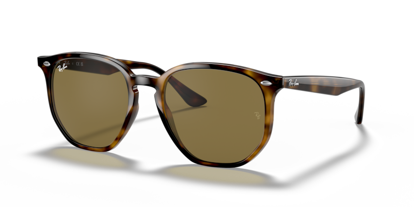 Ray-Ban RB4306  Sunglasses