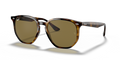 Ray-Ban RB4306  Sunglasses
