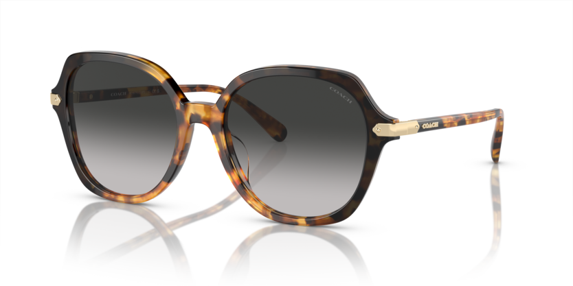 Coach HC8377U Cl925 Sunglasses